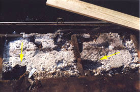 View of original cotton insultation and roof beams.